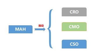 震荡市什么板块需要关注