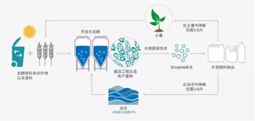 清华实验室的生物技术,让蓝晶解决PHA商业化难题